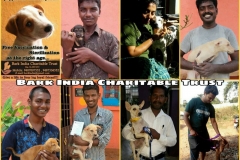 0ba81fbd-ddee-44cb-945d-b8b18957c53d