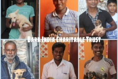 3cbe9a8f-03ce-4445-96b8-309d252c74e2