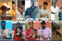 c00a8bd3-a5f7-4fbe-9147-b7f09c9731bb