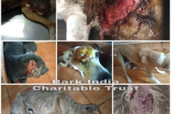 008f4bb0-26dc-493e-8cc2-518066201183