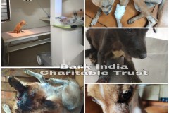 4dad57d3-b07a-4fa6-b2ad-9e74fbf6dd90