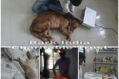 58ee8198-1fae-4468-b5a4-be15e6b136f2