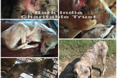 63425749-394e-4579-8270-5aae09dc02cd