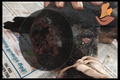 Picsart_22-08-04_15-36-52-3071