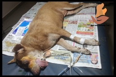 Picsart_22-08-10_14-04-38-3741