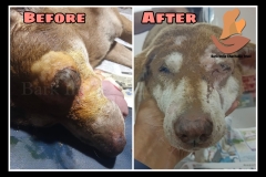 Picsart_22-08-26_10-02-12-1041