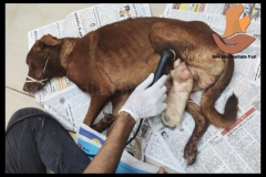 Picsart_22-08-28_16-10-18-3041