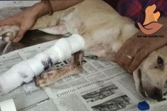 Picsart_22-09-09_09-56-39-6151