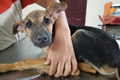 Picsart_22-09-12_09-45-01-3131