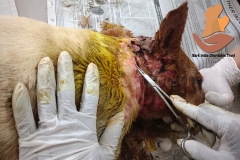 Picsart_22-09-14_13-10-16-8981