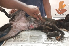 Picsart_22-09-16_10-43-05-2741