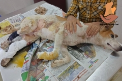 Picsart_22-09-18_10-29-10-0571