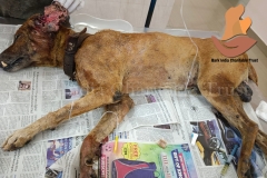 Picsart_22-09-27_09-55-51-2741