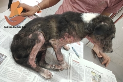 Picsart_22-10-11_10-08-12-7701