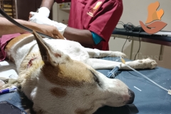 Picsart_22-10-22_10-58-38-5511