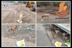 1_PicsArt_05-22-03.31.10