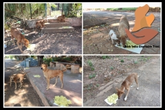 1_PicsArt_06-06-08.56.08