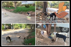 1_PicsArt_06-06-09.28.17