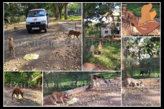 1_PicsArt_06-06-09.35.47