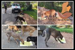 1_PicsArt_06-11-09.25.42