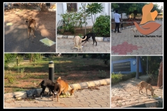 1_PicsArt_06-11-09.34.33