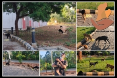 1_PicsArt_06-11-09.42.13