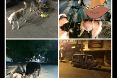 PicsArt_05-20-03.56.17