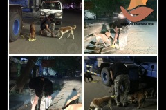 PicsArt_05-20-03.59.02