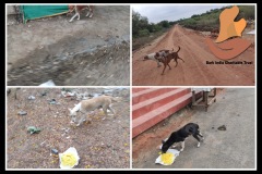 PicsArt_05-22-03.23.54