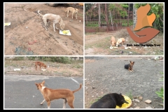 PicsArt_05-29-09.06.30