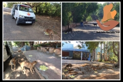 PicsArt_06-06-09.03.30