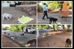 PicsArt_06-11-09.20.10