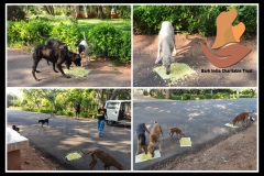 PicsArt_06-11-09.22.43