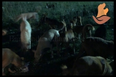 Picsart_22-08-07_12-02-46-124