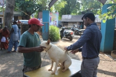 43504cd2-83f3-4804-a90e-32745b347178