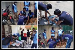 PicsArt_08-30-07.29.19-scaled