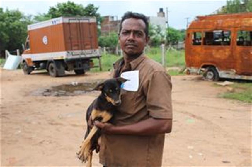 our-adoption Our Adoption