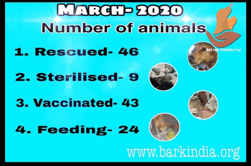 WhatsApp Image 2020-04-01 at 10.58.25 AM Animal welfare activities- March 2020