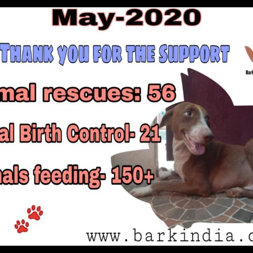 May Animal Welfare activities- May 2020