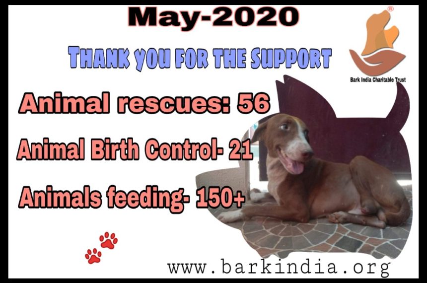 Animal Welfare activities- May 2020