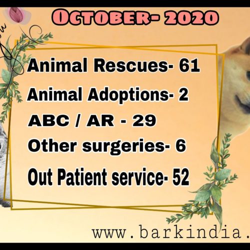 Animal welfare activities- October,2020 Animal welfare- November 2020
