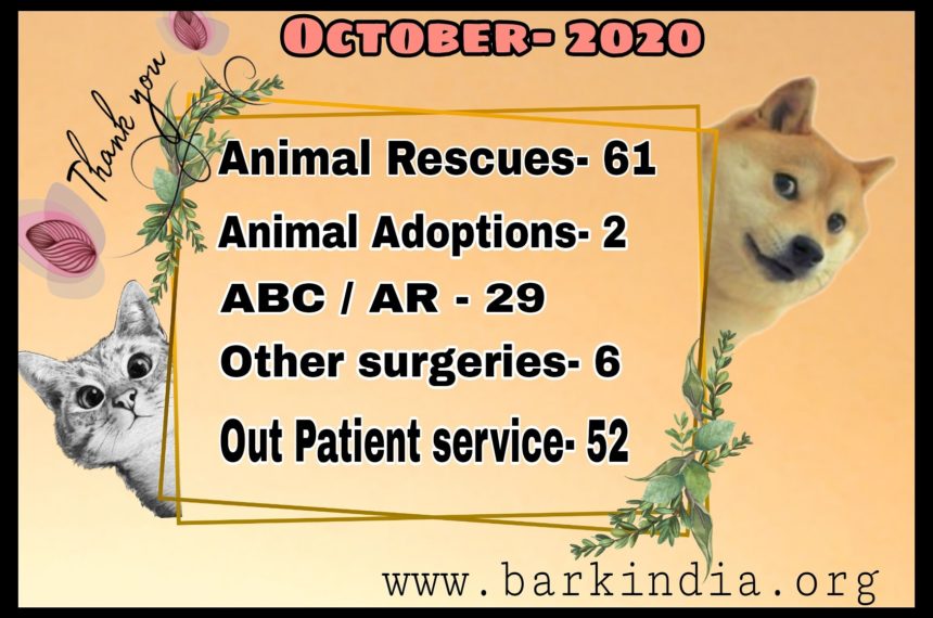 Animal welfare activities- October,2020 Animal welfare- November 2020