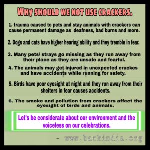 why no crackers