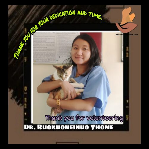 Volunteer Veterinary doctor Thank you for volunteering