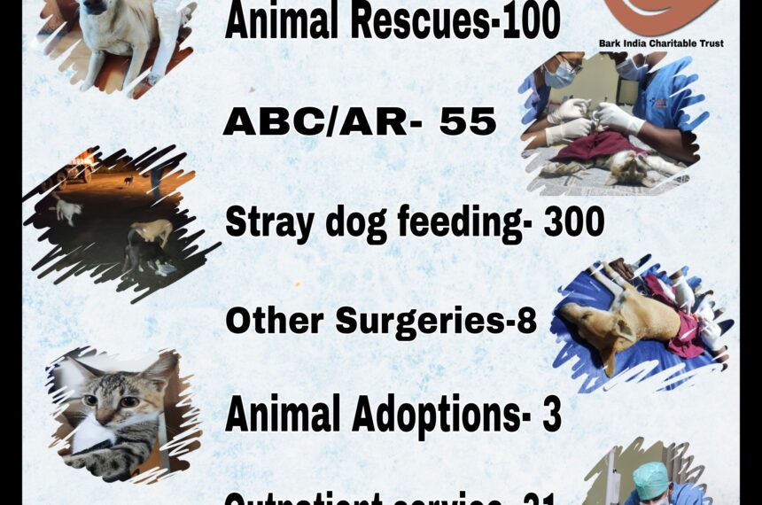 Donate for animal rescue