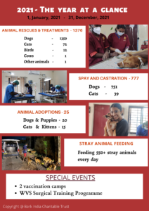 Animal Rescue charity in India