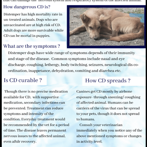 Canine Distemper in dogs
