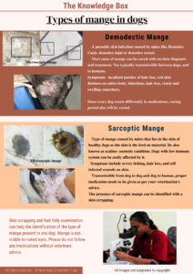 Types of mange in dogs
