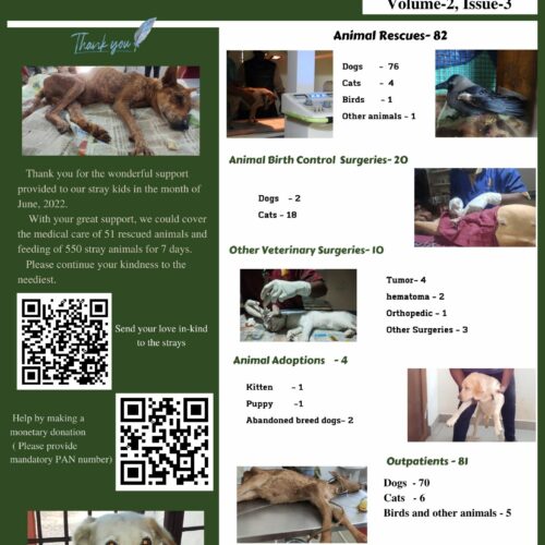 newsletter- animal welfare organisation newsletter- animal welfare organisation