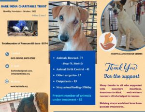 Animal rescue charity India